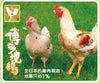 Hakata Jidori Whole Chicken (Small) / 博多小雛 原隻 (500gr)