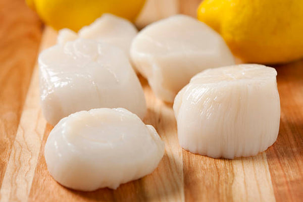 日本帶子刺身  Hotate Sashimi Scallop 1Kg (26-30pcs)